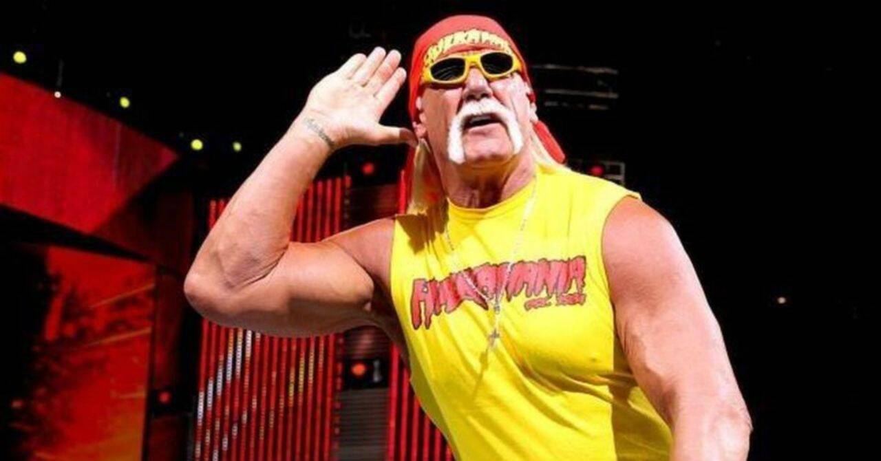 tenga en cuenta Desierto Deshabilitar Hulk Hogan, de ídolo en los 80 y 90 a ser abucheado | El Cierre Digital