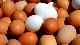 Las mejores posibilidades de cómo utilizar los huevos en nuestra cocina: Fritos, cocidos, escalfados o poché