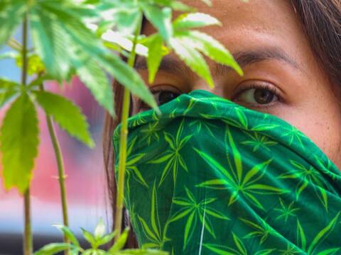 Mujer con planta de marihuana