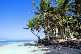 Disfrutar de una escapada a Punta Cana, más fácil que nunca