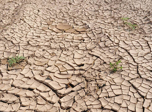 Sequía rural en España