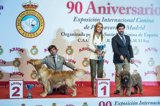 Exposición Internacional Canina celebrada en Madrid.