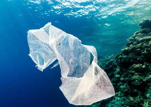 Contaminación por plástico en el medio ambiente.