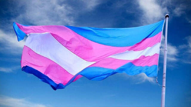 Bandera transexual.