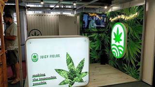 Querella contra Juicy Fields: La nueva estafa piramidal de plantación de cannabis en España