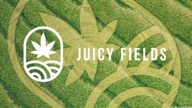 Juicy Fields.