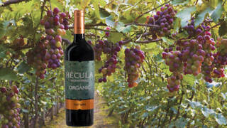 'Larga vida' a la uva Monastrell: Hécula Monastrell Organic 2020, un vino irresistible por su calidad-precio
