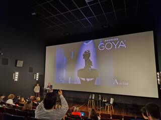 Las ciudades de Valladolid y Granada acogerán los Premios Goya en 2024 y 2025