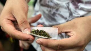 Uno de cada cinco adolescentes consume cannabis