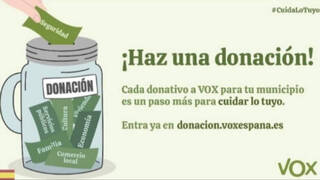 Nueva crisis en VOX: Exigen investigar en Canarias gastos electorales "irregulares" de sus candidatos 