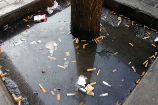 La 'cara b' del tabaco: Las colillas en el suelo de las calles, una amenaza para los árboles de las ciudades