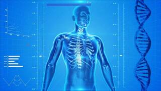 Los sistemas del cuerpo humano que permiten su correcto funcionamiento