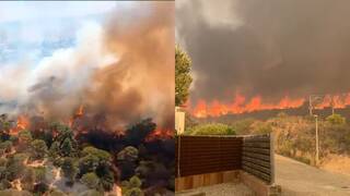 Vuelven los incendios forestales intencionados: Más de 73.500 hectáreas quemadas en España