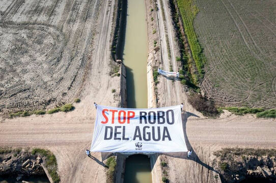 Pancarta de WWF (Fondo Mundial para la Naturaleza) contra los pozos ilegales en Doñana