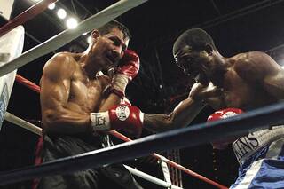 El boxeo mexicano, una apuesta segura