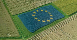 Cara 'B' de los PAC, la política agraria europea: La mitad de los perceptores no cotizan como agricultor o ganadero